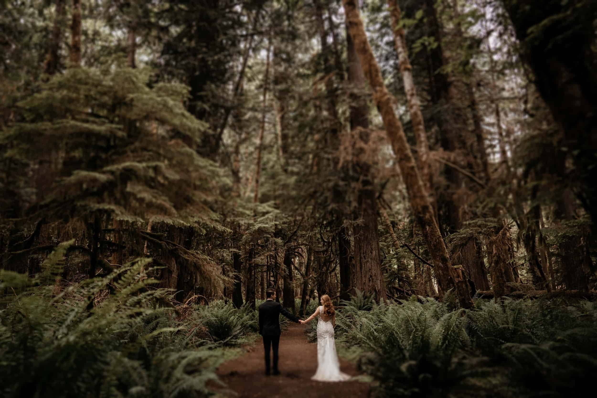 Top places to elope in the US: Forest locations