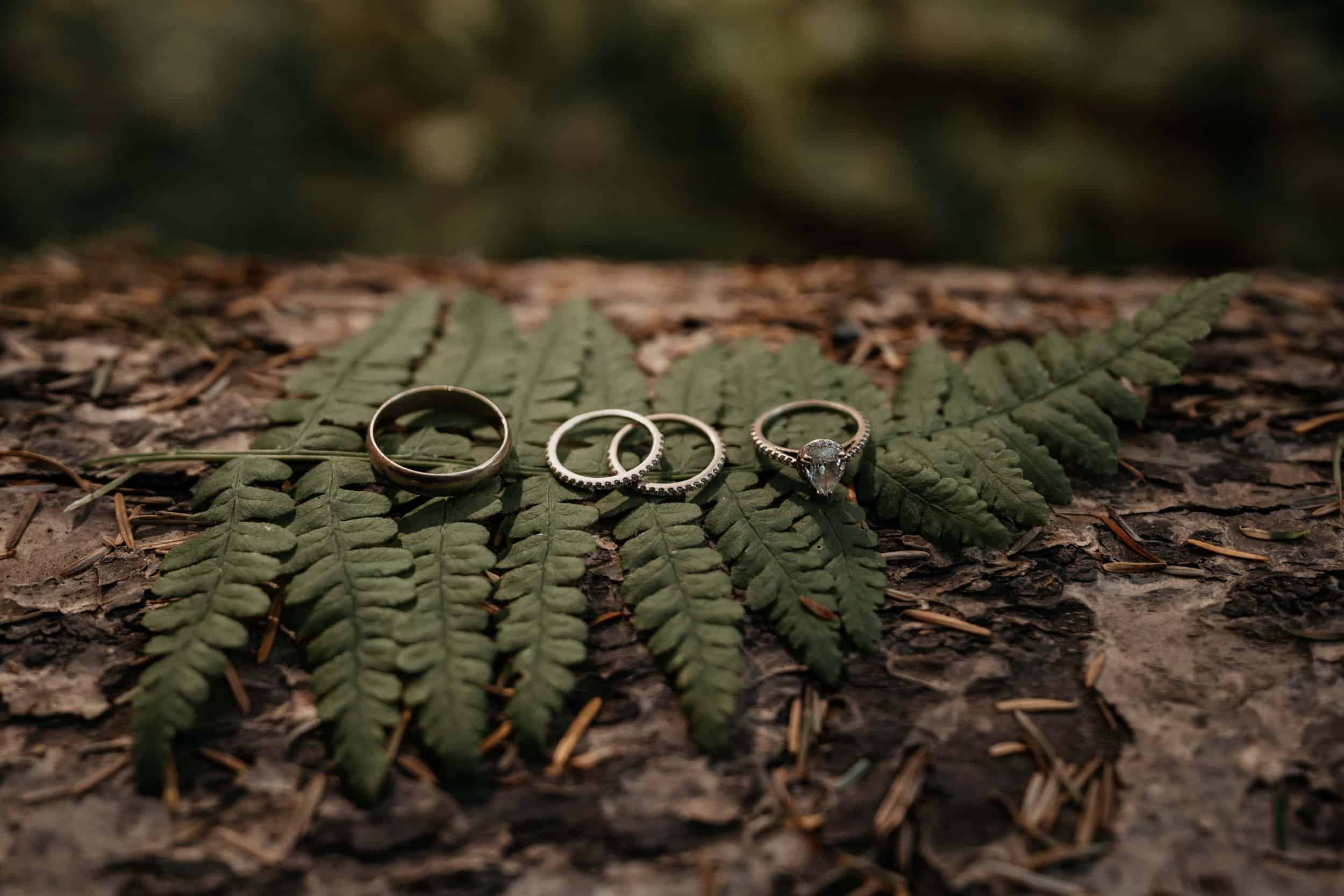 Forest locations to elope in the US
